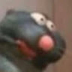 Meet your Posher, Wods